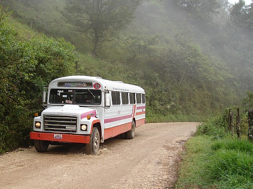 Local bus.