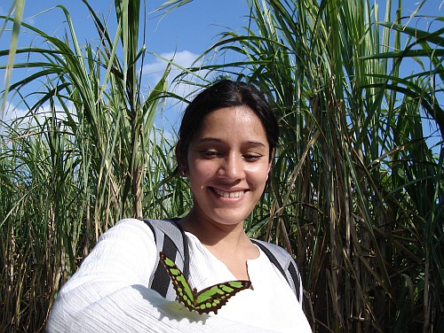 Green butterfly on Esme's arm.