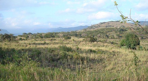 Landscape near Almolonga.