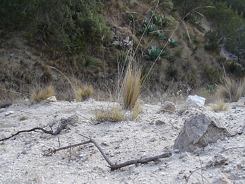 Sand slope.