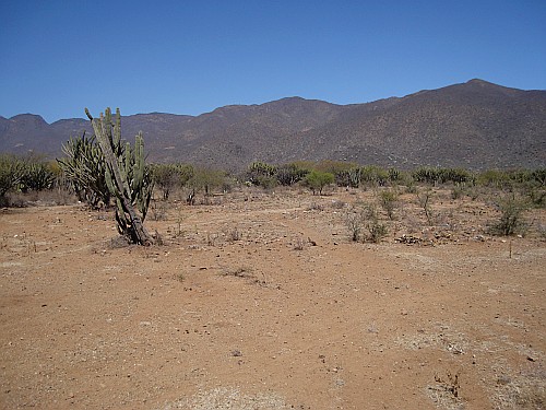 Barren area.