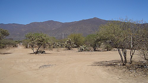 Landscape close to Ajalpan, in the background the Sierra Madre de Oaxaca.