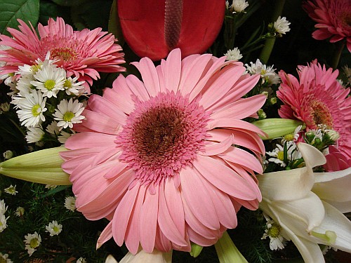 Flowers for Mom, Dad, and Alice.