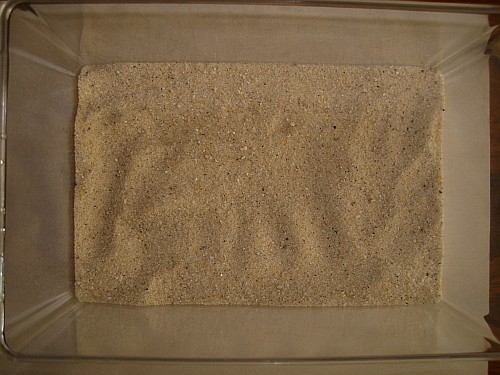 A layer of 2.5 cm of white sand in the scorpion enclosure.