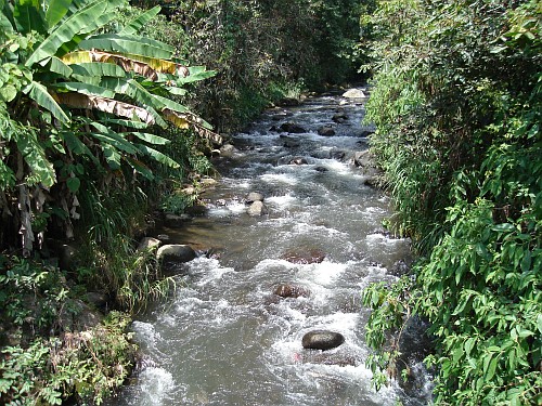 A river near San Marcos.