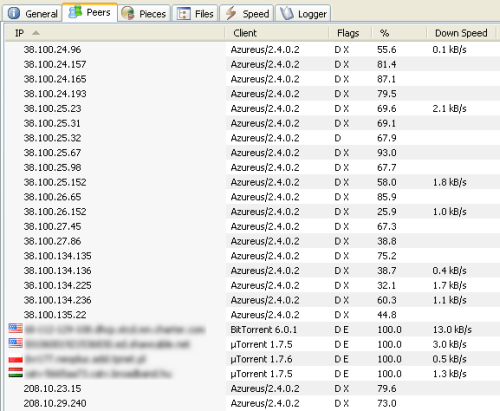 Peers in Torrent, many of which are highly suspicious.