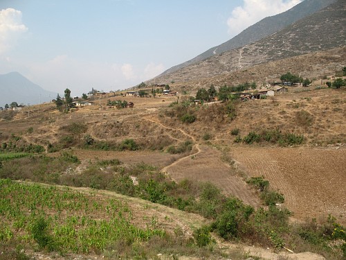 The other part of the hollow with maize fields.