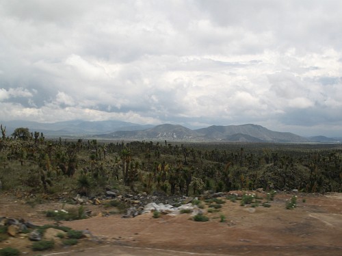The lava field North West of El Limn Totalco.