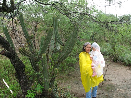 Esme holding Alice, standing next to a large cactus.