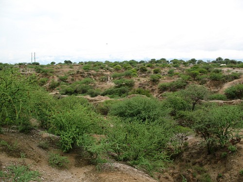 The landscape west of Ajalpan, looking west.
