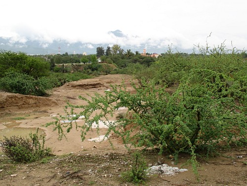 Landscape west of Ajalpan. In the distance one can see a church.