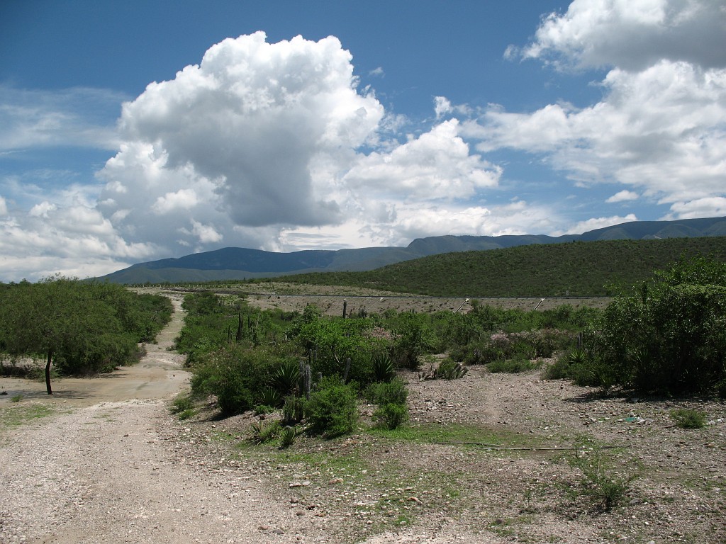 The super-highway Cuacnopalan-Oaxaca near Chilac.