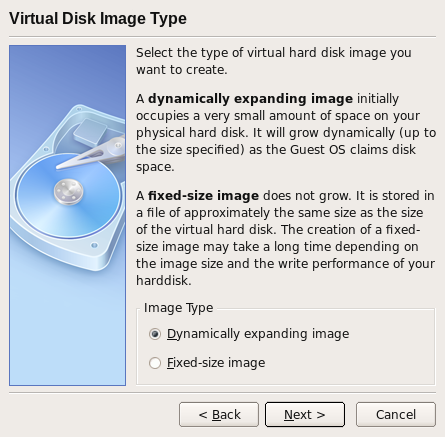 Selecting the type of virtual hard disk image.