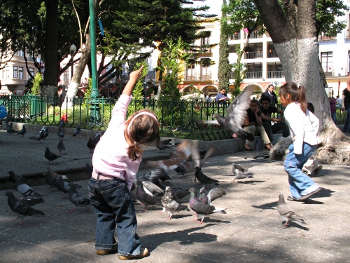 Alice having fun with the pigeons at the Zcalo of Puebla city.