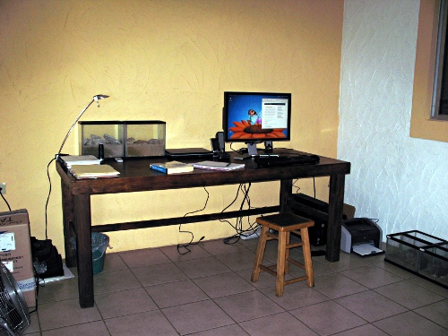 The desk in my office.