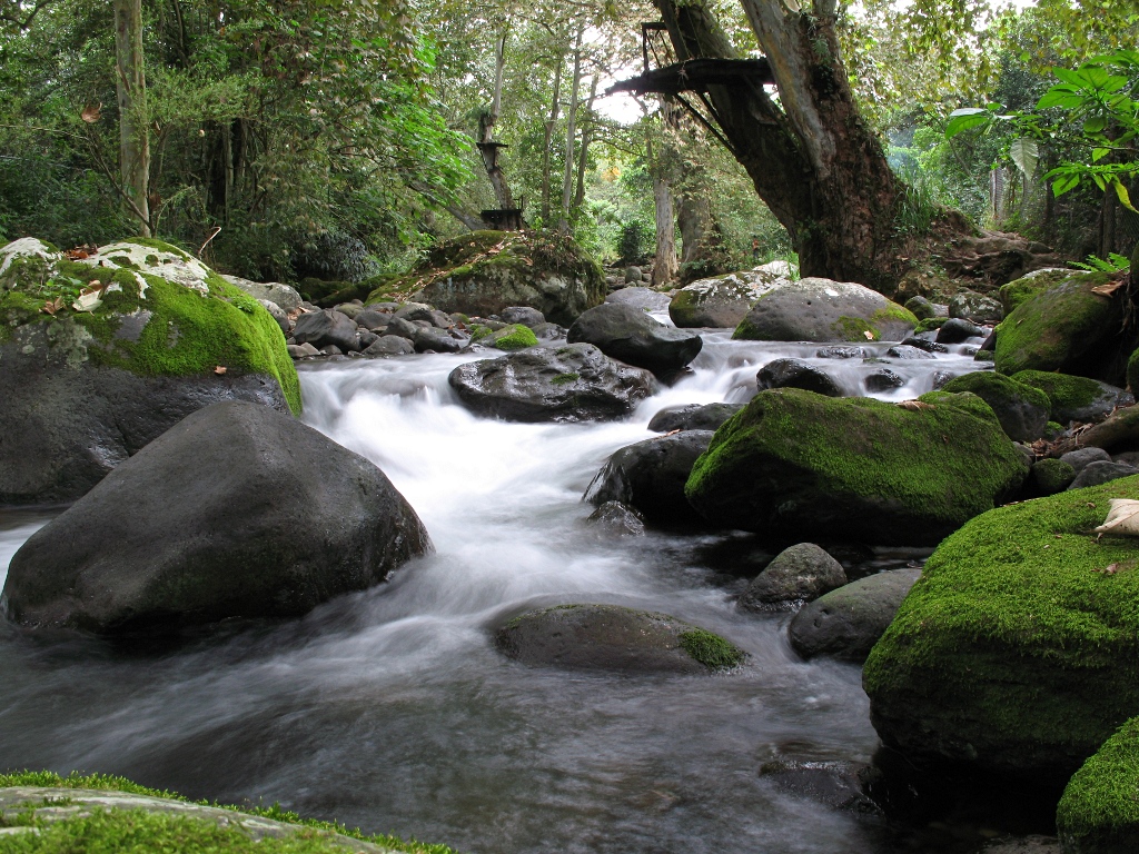 The Tapachapan river.