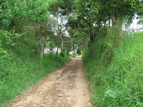 Aguacatal, the dirt road part, just outside Coatepec.