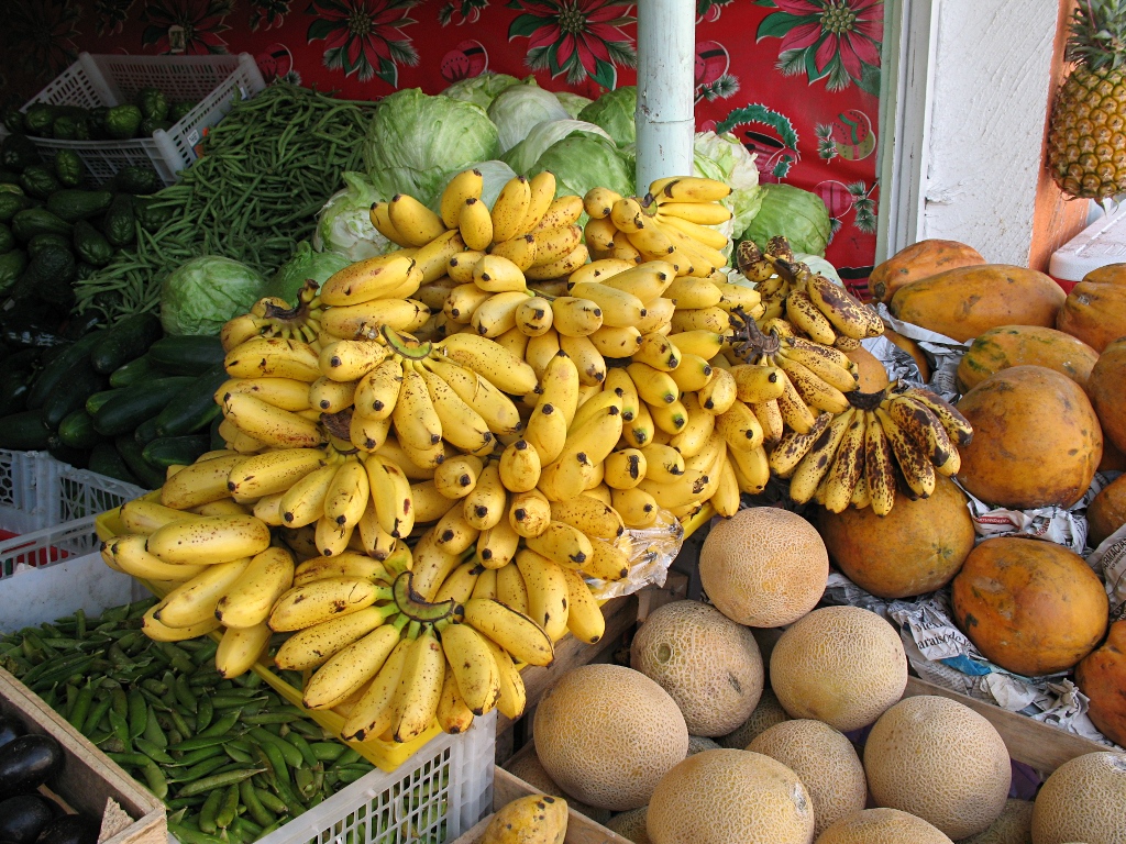 Small bananas on display. In Chedraui - a Mexican supermarkt chain - those, or a similar species, are sold as pltano dominico.