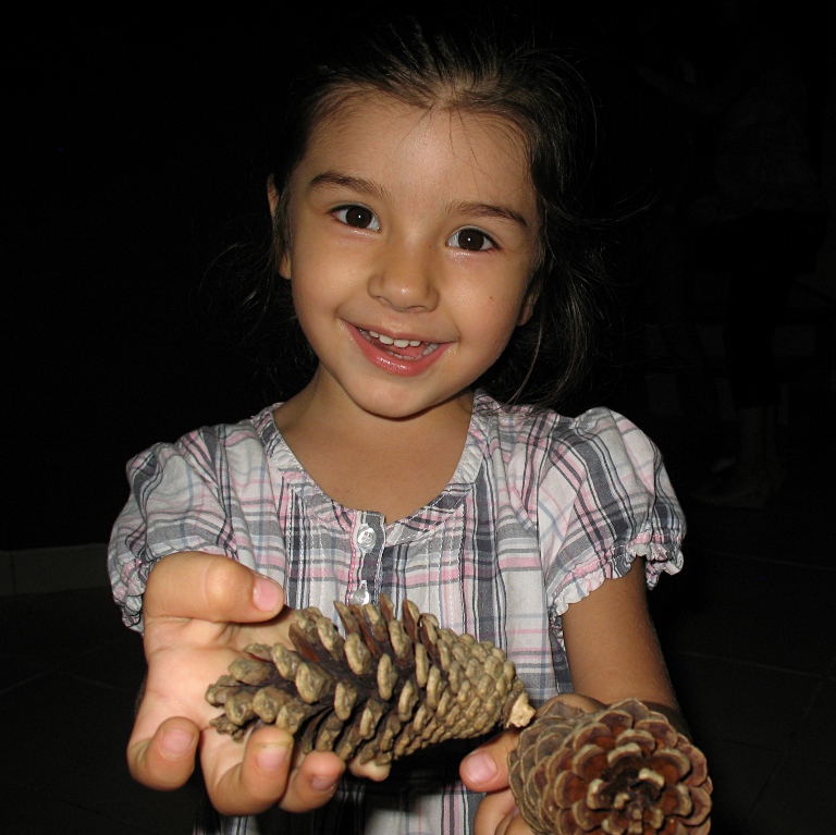 Alice holding pine cones she has collected in the park.