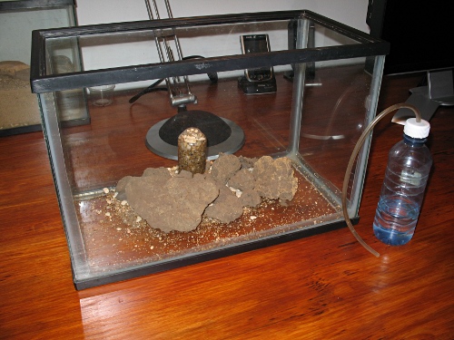 False bottom technique, in this case a terrarium for scorpions.