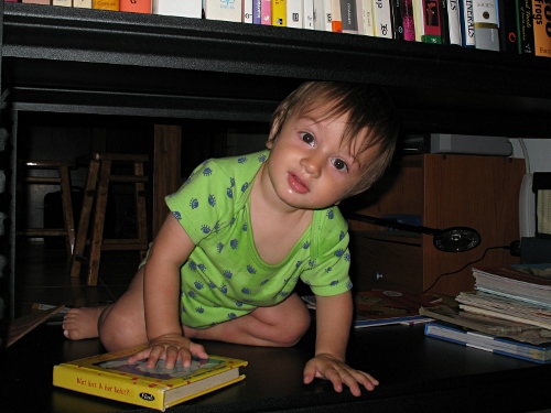 Adam exploring our bookcase.