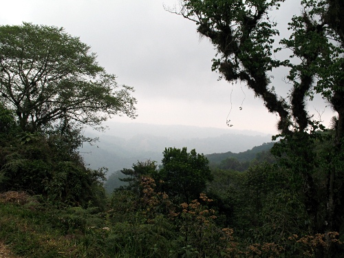 Barranca (canyon) North of Cosautln.