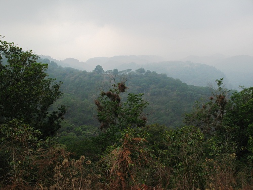 Barranca (canyon) North-West of Cosautln.