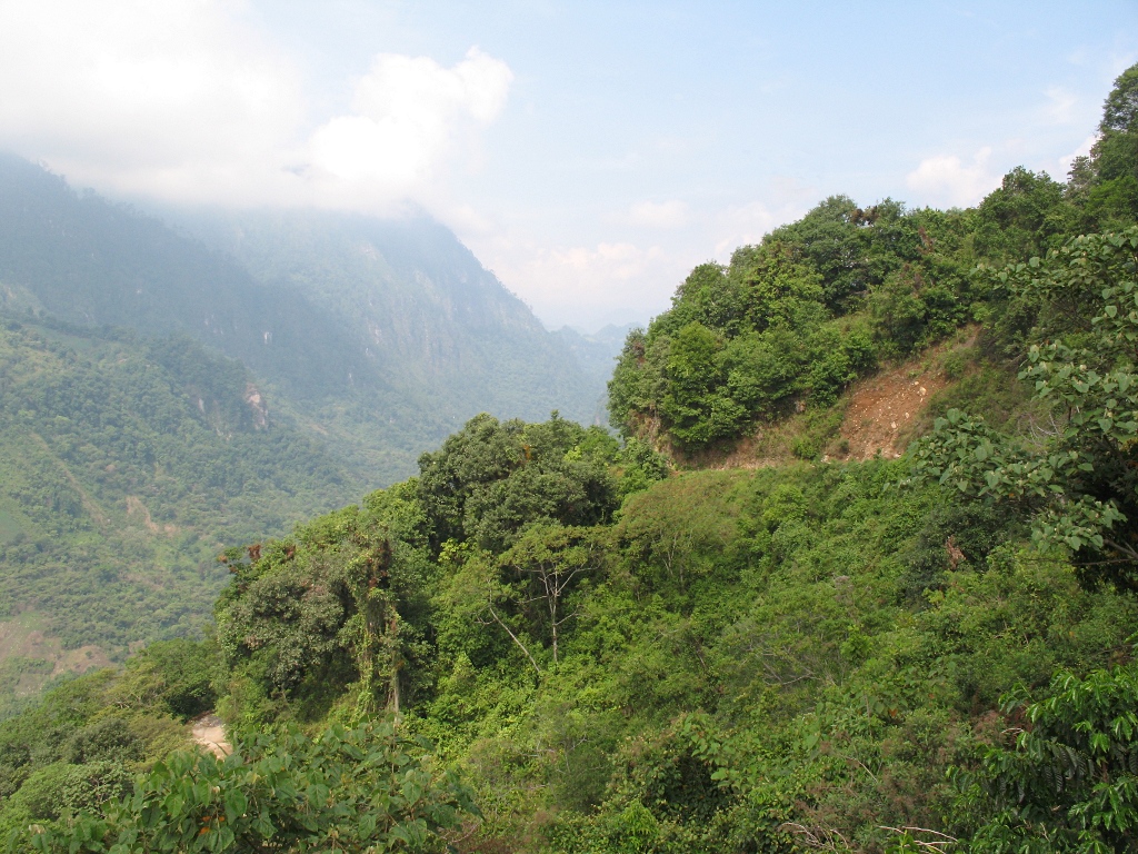 A view of "Barranca Grande", the Big Canyon, near Cosautln.