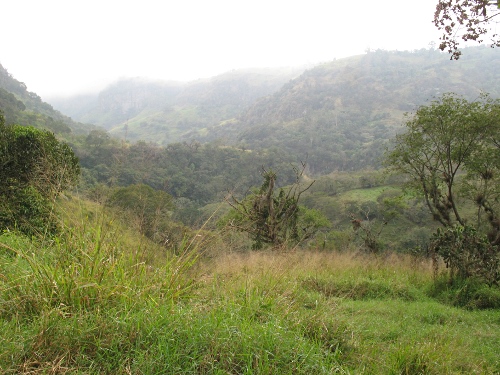 A view down into the green canyon near Alto de Tio Diego.